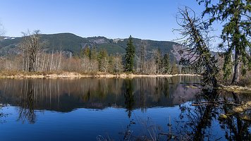 Picture-101