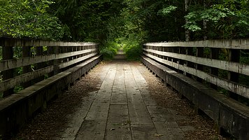 Picture-123