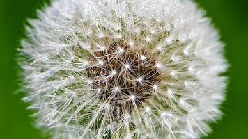 Picture-13