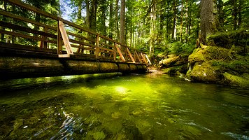 Picture-132