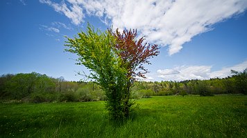 Picture-175