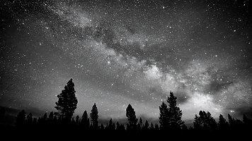 Picture-33