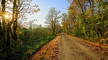 Picture-45