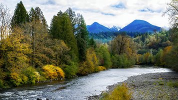 Picture-46