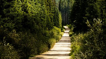 Picture-50