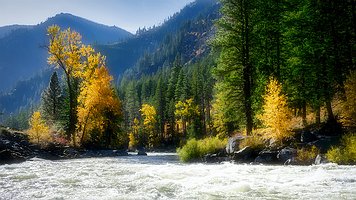 Picture-53