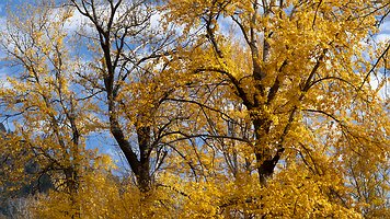 Picture-58