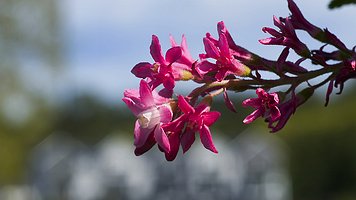 Picture-6