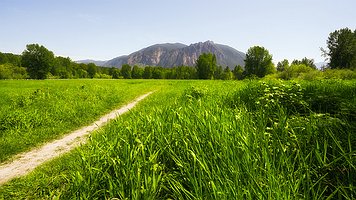 Picture-66