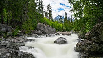 Picture-74