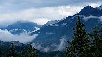 Picture-79