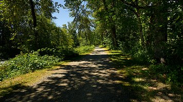 _A4_5518-C1-2160p-