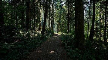 _A4_5545-C1-