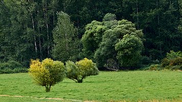 _A4_5635-C1-