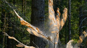 _A4_5645-C1-