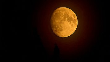 _A4_5665-C1--TZ-F