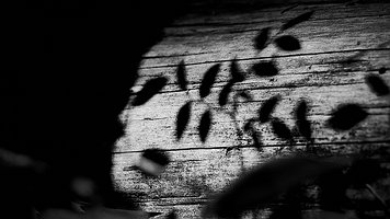 _A4_5827-C1-