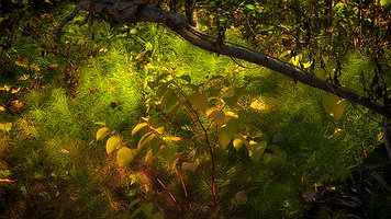 _A4_6106_Nik_DxO-2160