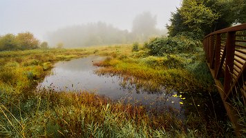 _A4_6124-C1-