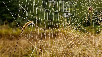 _A4_6131_DxO-Nik-TZ-2160