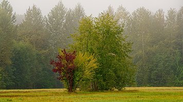 _A4_6135_DxO-2160--TZ-