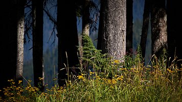 _A4_6161-C1-