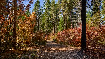 _A4_6251-C1-v2
